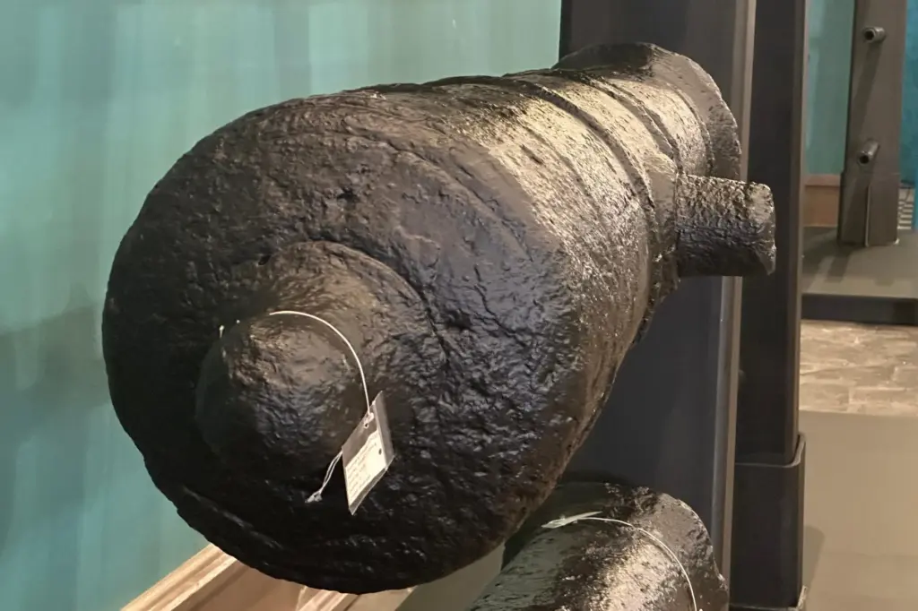 Cannons, which sunk to the bottom of the Savannah River...