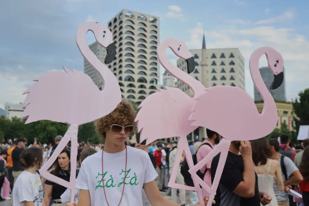 Protesters hold pink flamingo cutouts during a demonstration in Tirana,...