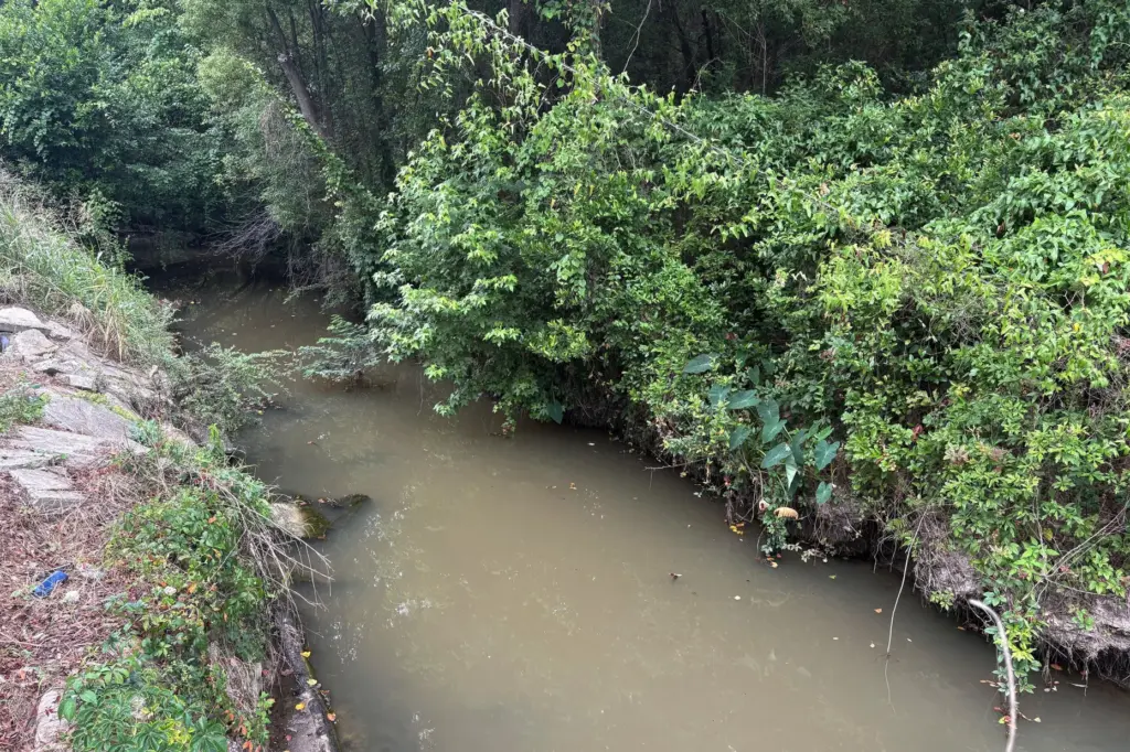 The Oquina Creek in Thomasville, Georgia