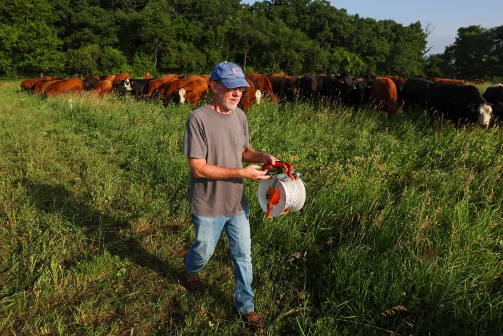 Cliff McConville spools a portable electric fence at All Grass Farms on June 30, 2026, in Elkhorn, Wisconsin. Several times a day, McConville opens up different paddocks of pasture for his herd of 130 red and black angus cattle to feed on. (Stacey Wescott/Chicago Tribune)