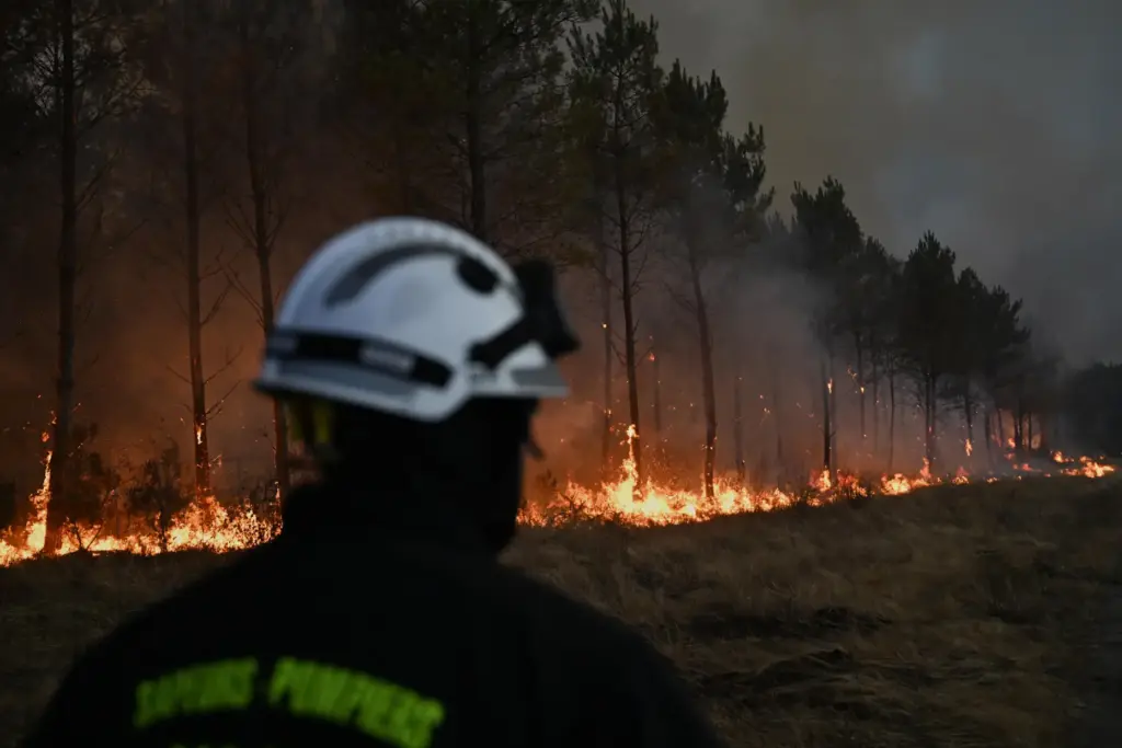 FILE – A firefighter walks in front of burning trees...